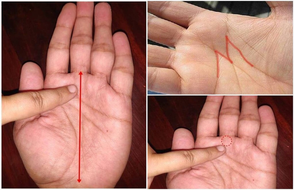 Palmistry, Palmistry money line, money line, luck line, hasth rekha, astrology, palm reading,