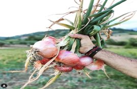 bad cholesterol, health health tips