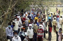 UP Panchayat election, Samajwadi party