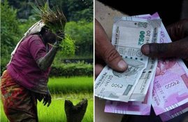 PM Kisan Samman Nidhi, PM Kisan Samman, PM Kisan Samman Nidhi Yojna, PM Kisan scheme