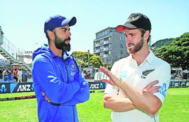 cricket