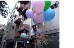 दिल्ली: डॉगी को बैलून से बांध हवा में उड़ाने की कोशिश, मशहूर यूट्यूबर पर केस दर्ज