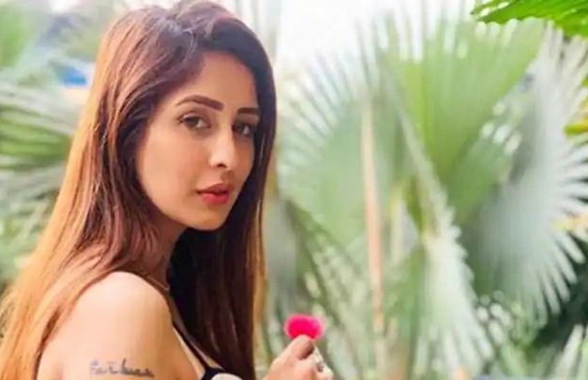 Chahat Khanna, Farhan Mirza