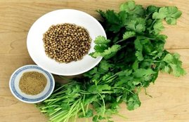 Dhaniya Pani, Coriander, Health Benefits, धनिया पानी