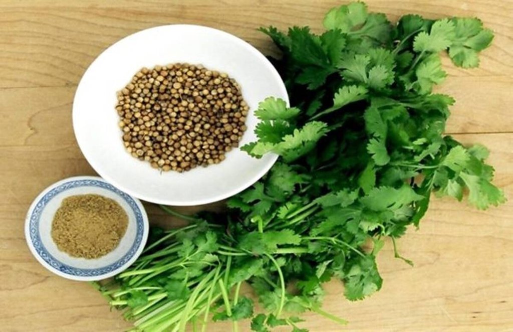 Dhaniya Pani, Coriander, Health Benefits, धनिया पानी