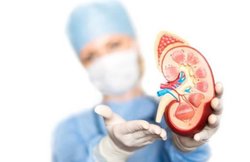 डायबिटीज के कारण होता है किडनी फेलियर का खतरा, जानें शुगर लेवल बढ़ने से क्या होता है किडनी पर असर