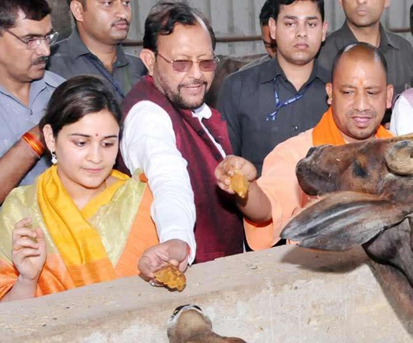 Dimple Yadav, Akhilesh Yadav SP, Mulayam Singh second wife