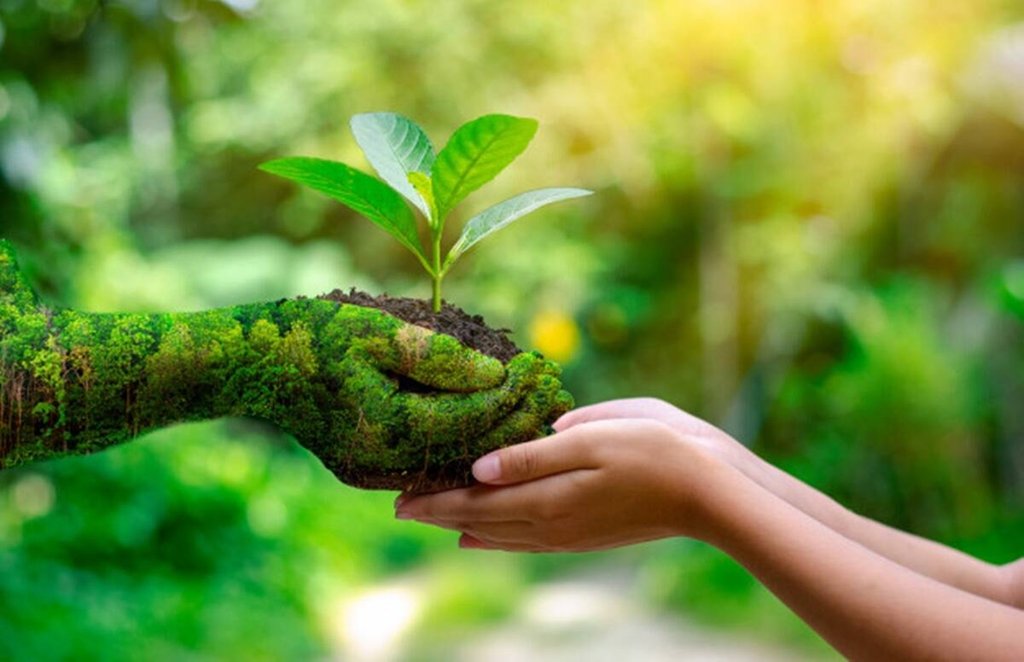 world environment day, world environment day theme, corona