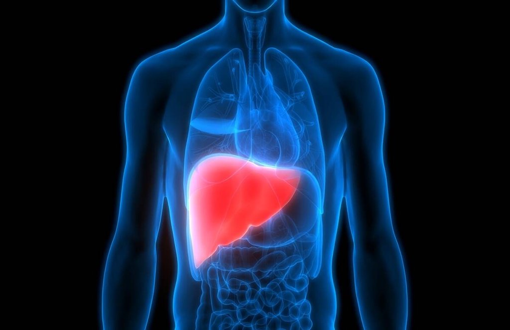 fatty liver, fatty liver symptoms, fatty liver remedy