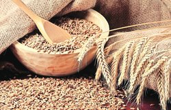 समाज पुराना अनाज पुराना