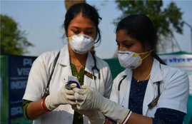 MP, Bhopal, Junior Doctors