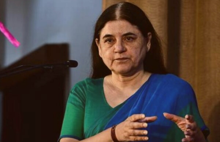 Manika Gandhi Struggle,