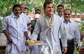 Congress, Rahul Gandhi Birthday