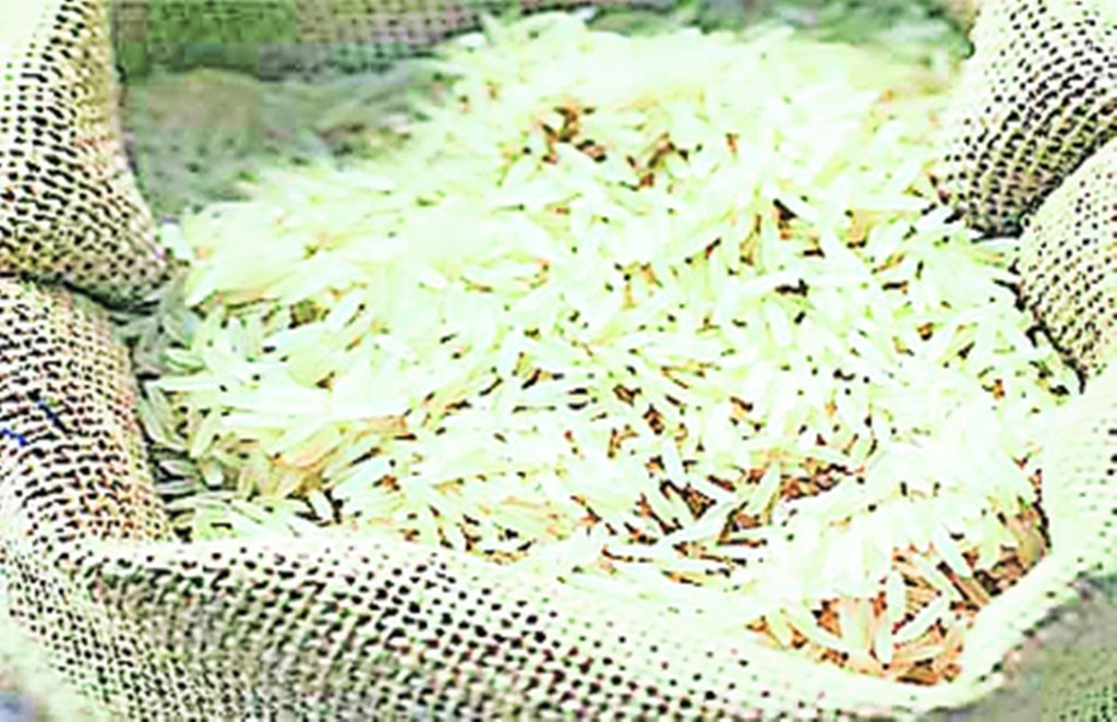 Basmati Basmati