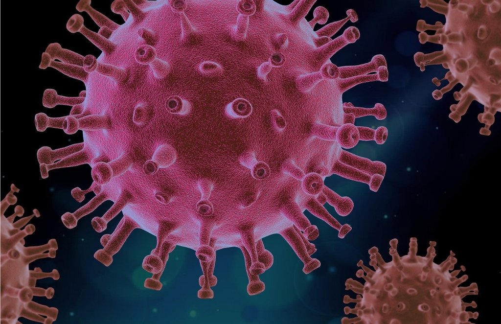 corona variant, antibodies