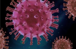 इलाज करा रहे मरीजों की संख्या 55 दिन बाद बढ़ी