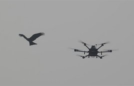 India, Pakistan, Drones, BSF