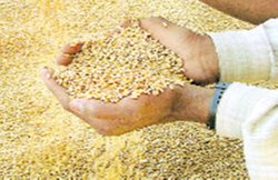 पेट भर भोजन और बुनियादी सुविधाएं मिलना हो प्राथमिकता