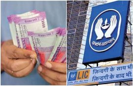 lic, lic news