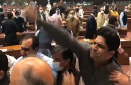 Pakistan, Parliament