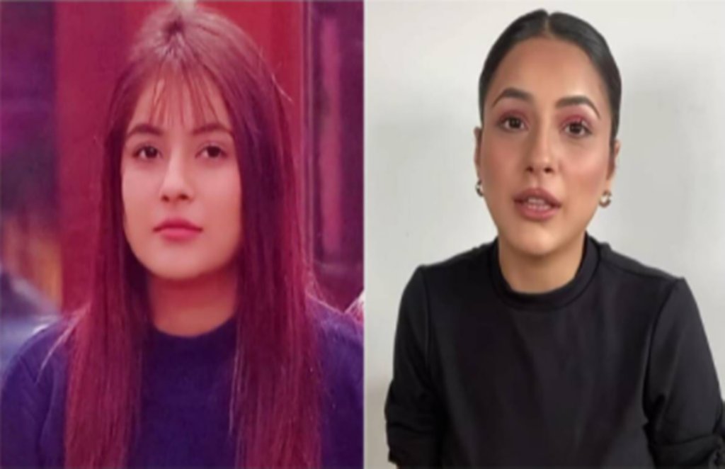 shehnaaz gill, shehnaaz gill weight loss, bigg boss 13 shehnaaz gill