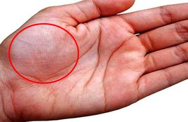 Venus Planet In Hand, palmistry, palm reading, hand parvat prediction, hand planet, shukra parvat in hand