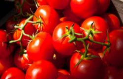 खाली पेट कभी ना करें इन चीजों का सेवन, हो सकता हैं ये परेशानियां