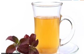 tulsi, Tulsi Water Benefits, Lifestyle News