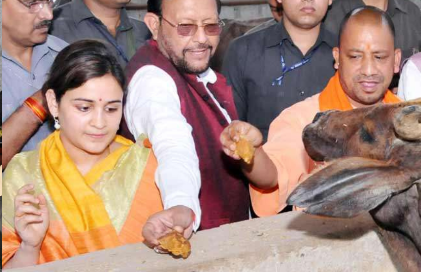 साल 2017 में यूपी में बीजेपी की सरकार बनने के बाद वह सीएम योगी आदित्यनाथ से मिलने पहुंची थीं और बीजेपी के वरिष्ठ नेता और केंद्रीय गृह मंत्री राजनाथ सिंह के साथ एक इफ्तार पार्टी में भी नजर आई थीं।