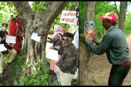 Environment activist Virendra Singh, Photos of Gods on trees, God on Tree, Save Tree Campaign,