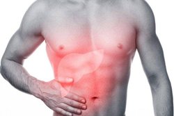 लिवर को हेल्दी रखने में मददगार हैं ये 10 फूड्स, Fatty Liver के मरीज कर सकते हैं&nbsp;सेवन