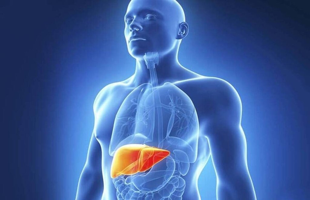 fatty liver, fatty liver ka ilaj, fatty liver ki dawa, diet