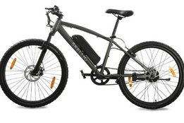 Gozero E-Bike, Skellig Lite