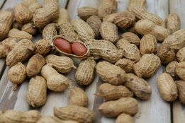 diabetes, diabetes causes, blood sugar
