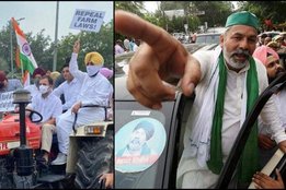 Rakesh Tikait, Rahul Gandhi, Rakesh Tikait on Pappu, Farmer Protest in Lucknow