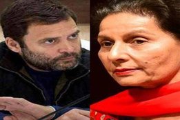 Punjab, Congress, Parliament