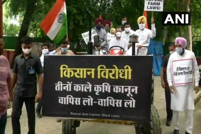 राहुल गांधी तीन केंद्रीय कृषि कानूनों के विरोध में सोमवार को ट्रैक्टर चलाकर संसद भवन पहुंचे (फोटो-ANI)