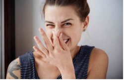 गर्मियों में पसीने की बदबू ने कर दिया है हाल-बेहाल, रसोई की ये चार चीजें करती हैं नैचुरल बॉडी डिओड्रेंट का काम