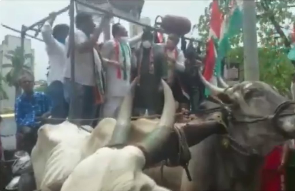 शनिवार को ईंधन के दामों में बढ़ोतरी के खिलाफ मुंबई में कांग्रेस कार्यकर्ता बैलगाड़ी के ऊपर चढ़ कर विरोध प्रदर्शन कर रहे थे। अधिक संख्या में लोगों के चढ़ जाने के कारण बैलगाड़ी अचानक से टूट गई और उसपर मौजूद सभी लोग नीचे गिर गए। (फोटो - एएनआई)