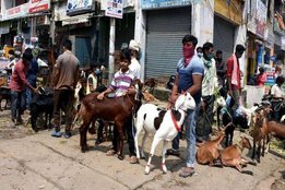 Bakrid, COVID-19