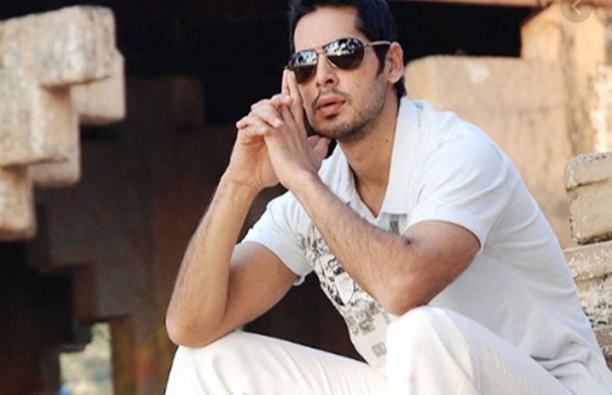 dino morea, ed, ahmed patel