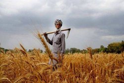 Kisan Credit Card बनवाने में कौन कौन से कागज लगते हैं? यहां जानें&nbsp;नियम