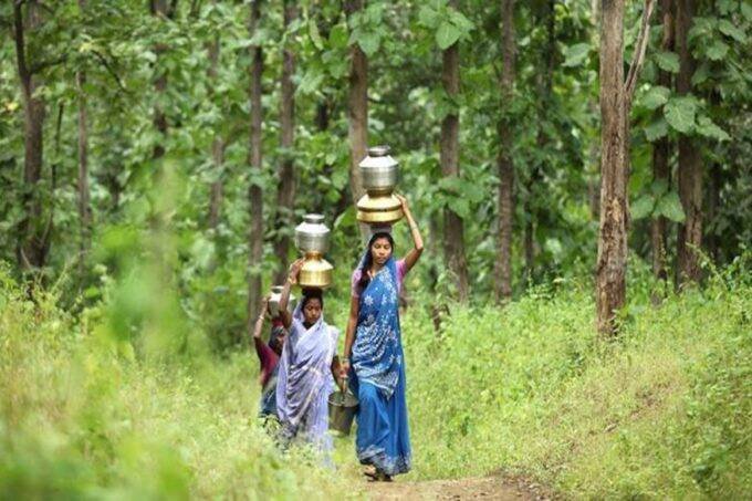 इंसानी लापरवाही से जंगलों का जीवन भी खतरनाक होता जा रहा है।