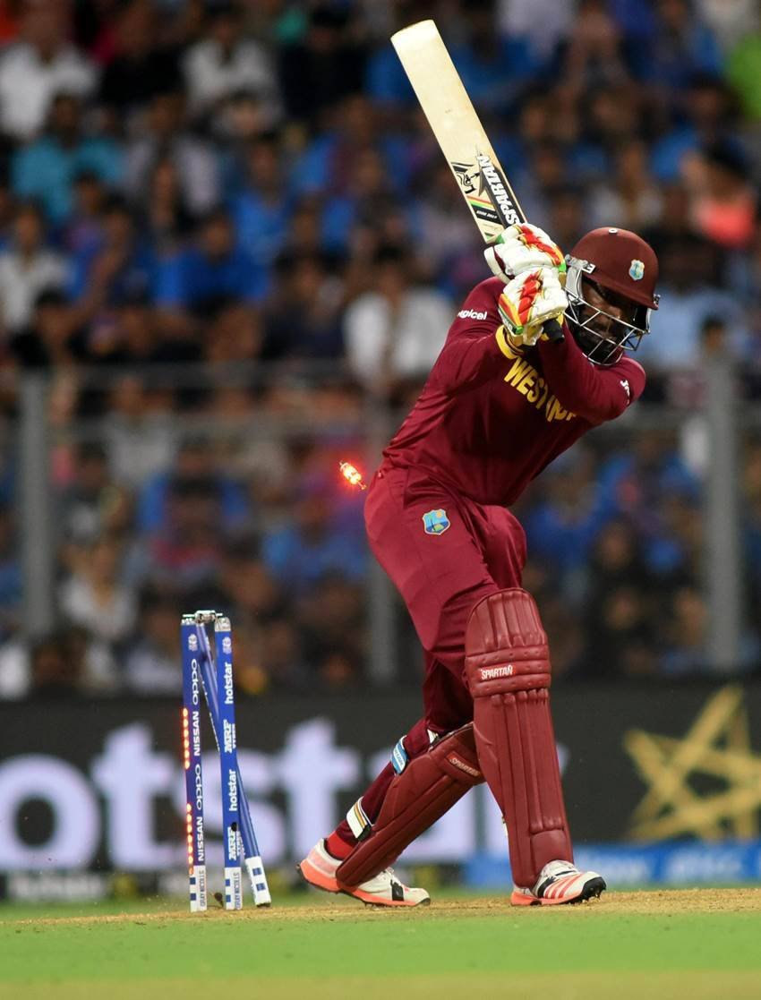 David Warner, Chris Gayle
