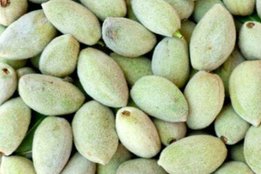 Health, Health Weight Loss