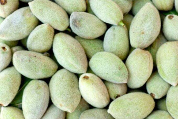 Health, Health Weight Loss