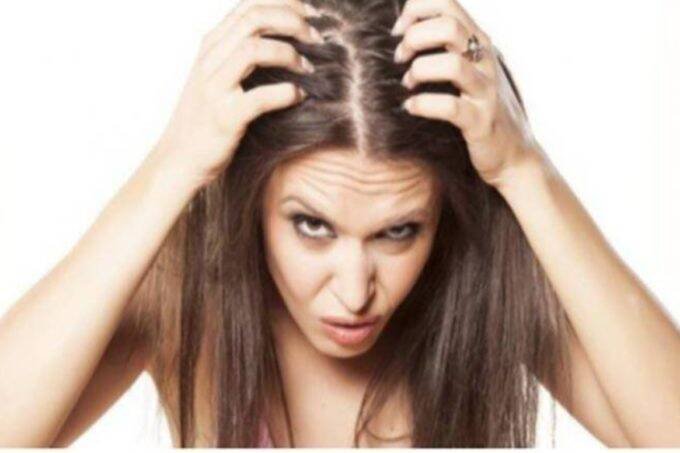 Hair Fall, Dandruff, Lifestyle News