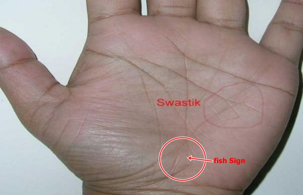 palmistry, palm reading, hasthrekha shastra, hand mark prediction, palm mark prediction,