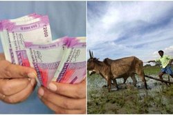 PM Kisan Yojana: इस तरह ठीक करें अपने बैंक अकाउंट नंबर की जानकारी, वर्ना अटक सकती है 9वीं&nbsp;किस्त