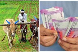 PM Kisan Yojna: अगर आपके खाते में अब तक नहीं आए 2000 रुपये तो ऐसे कर सकते हैं क्लेम